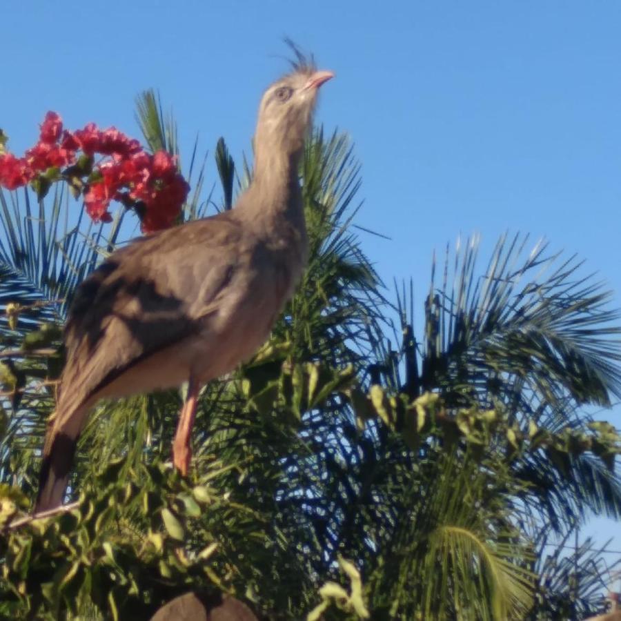 La Fiesta Bonito (Mato Grosso do Sul)